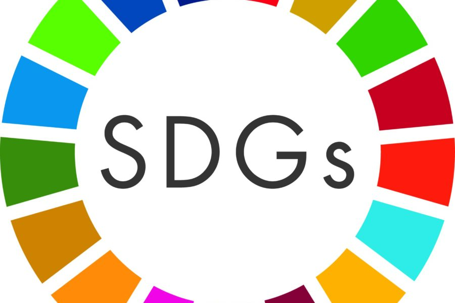 Deciphering the scientific literature on SDG interactions: A review and reading guide