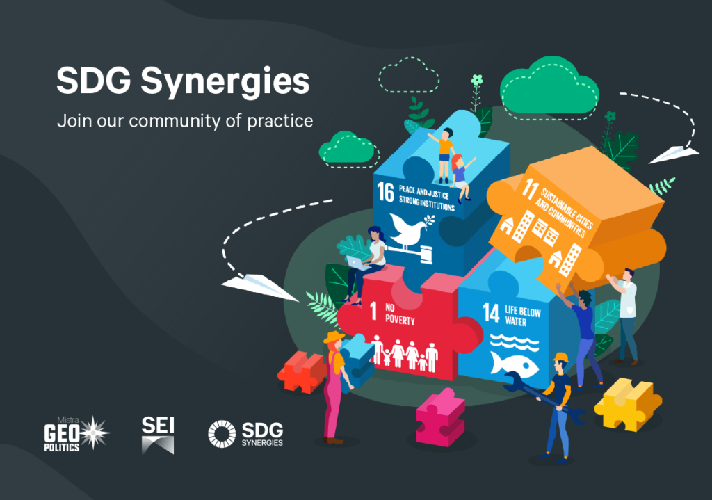SDG Synergies tool